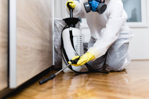 Best Rat Extermination Near Me  in Downey, CA