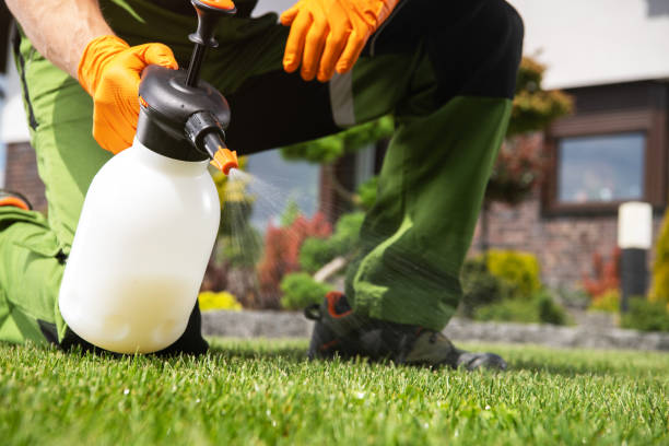 Best Pest Control Near Me  in Downey, CA